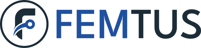 Femtus Solutions Logo